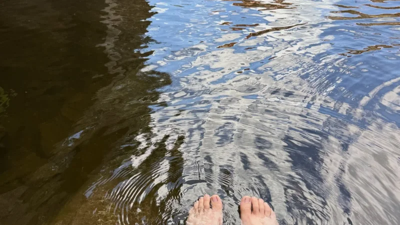 我把腳泡進河水裡，水面映著樹影
